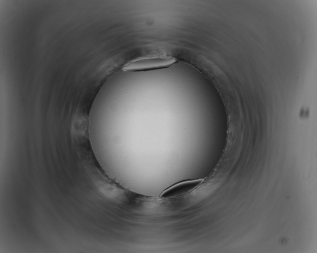 X0000101150096200807071201