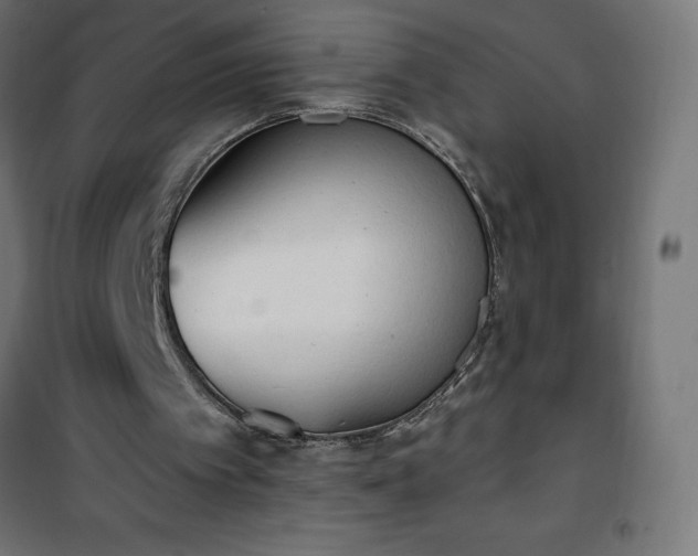 X0000101150097200807071200