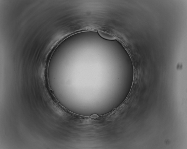 X0000101150098200807071200