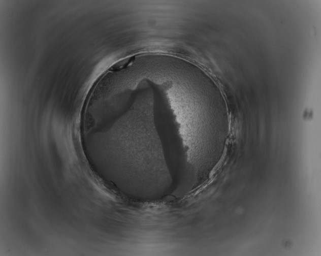 X0000101150099200807071200