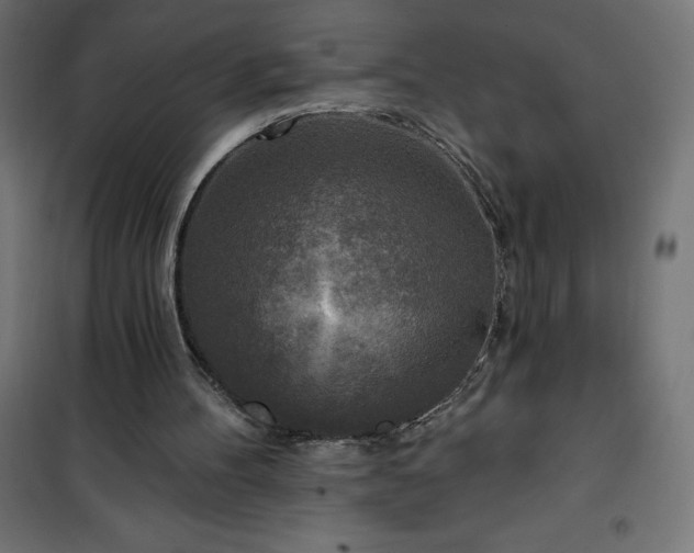 X0000101150100200807071200