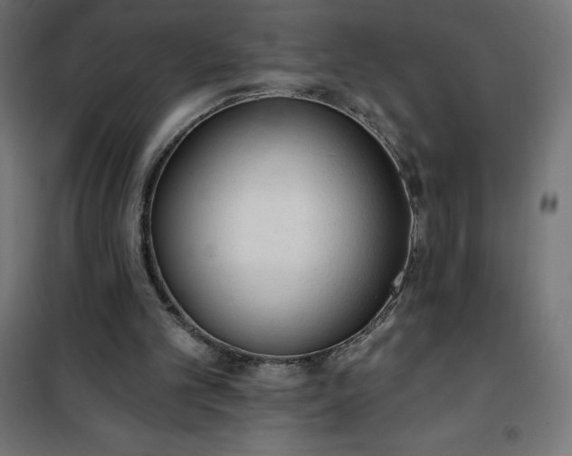 X0000101150101200807071200