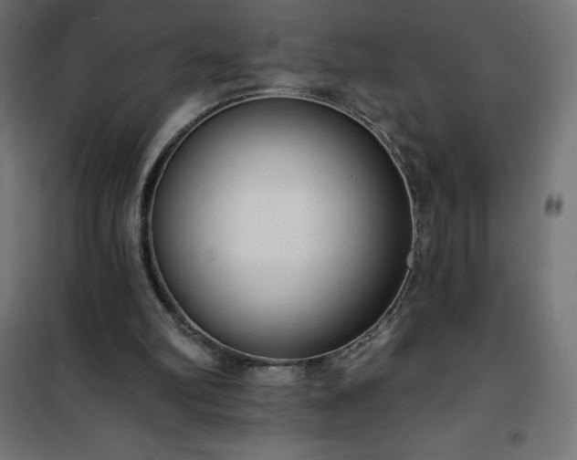 X0000101150102200807071200