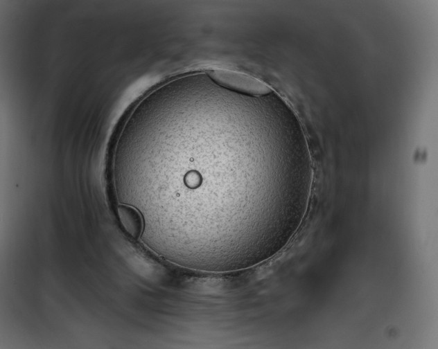 X0000101150104200807071200