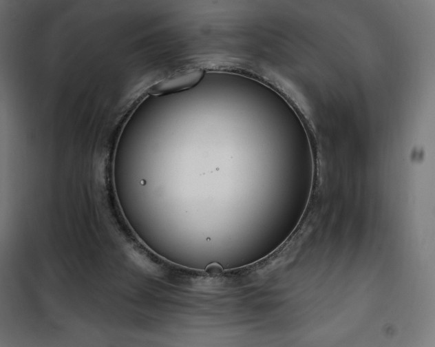 X0000101150105200807071200