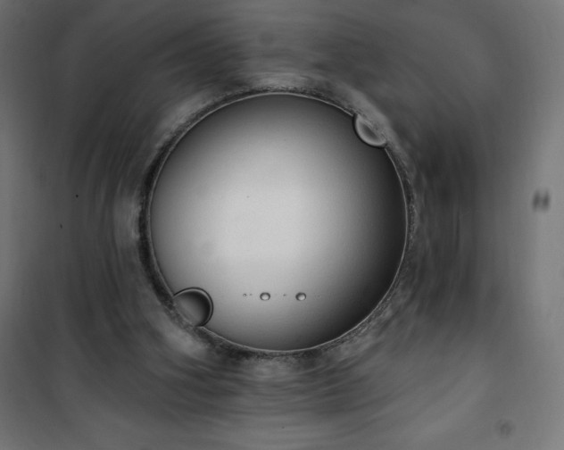 X0000101150106200807071200