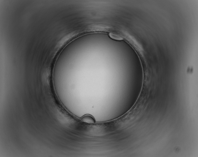 X0000101150107200807071200