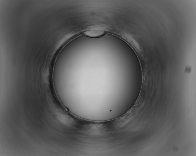 X0000101150108200807071200