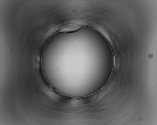 X0000101150109200807071200