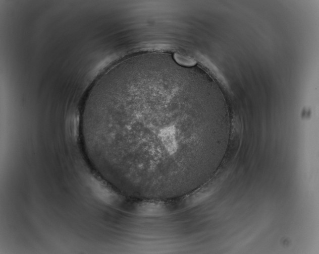 X0000101150110200807071200