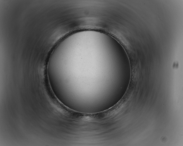 X0000101150111200807071200