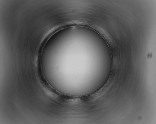 X0000101150112200807071159