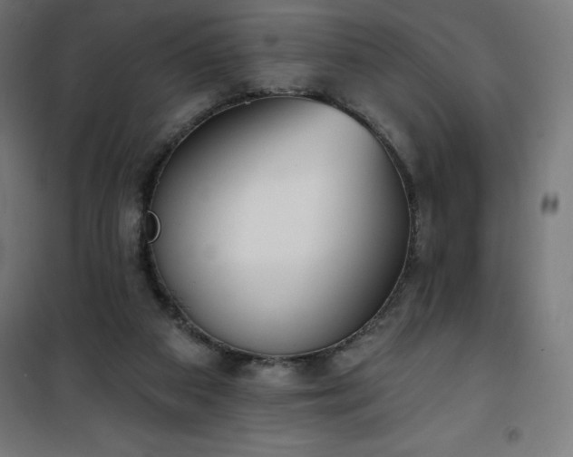 X0000101150113200807071159