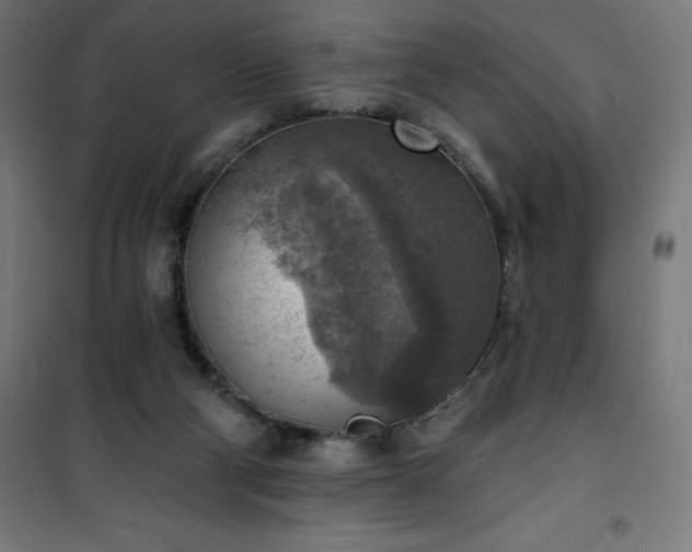 X0000101150114200807071159