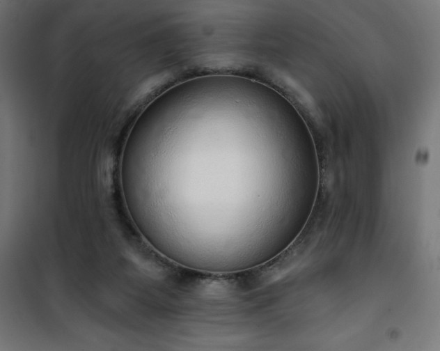 X0000101150115200807071159