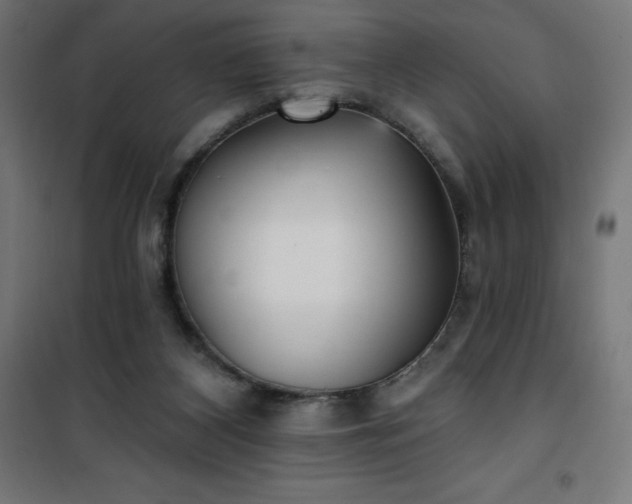 X0000101150116200807071159