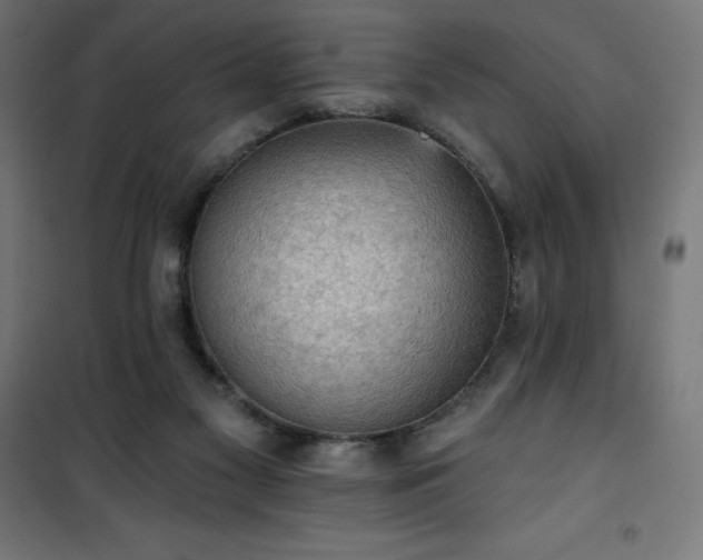 X0000101150117200807071159