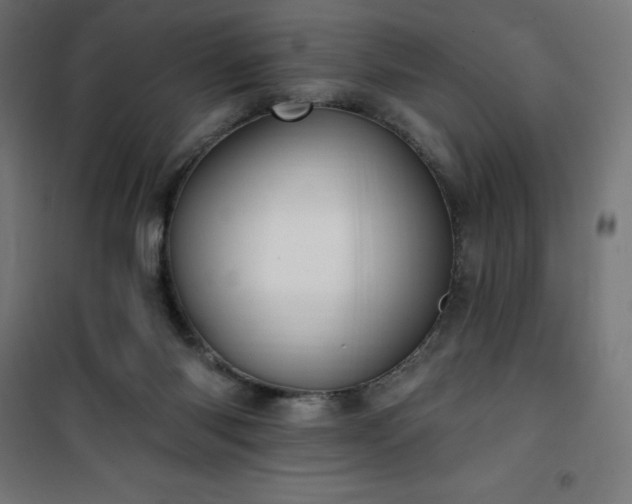 X0000101150118200807071159