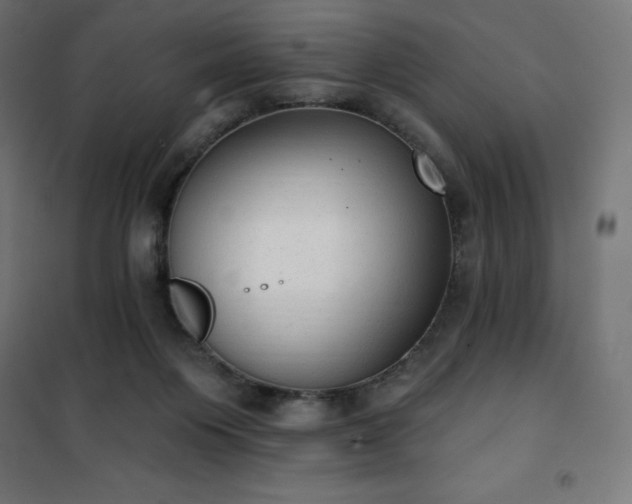 X0000101150119200807071159