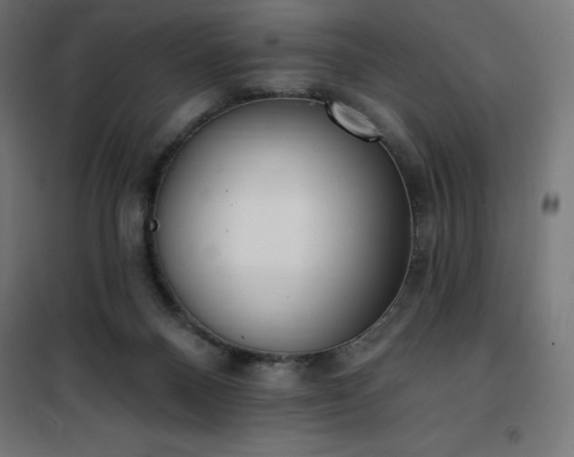 X0000101150120200807071159