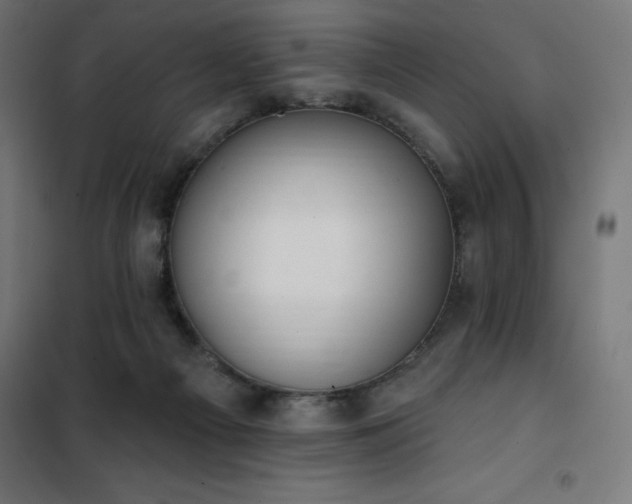 X0000101150121200807071159