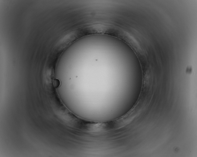 X0000101150122200807071159