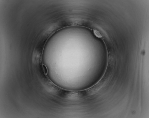 X0000101150123200807071159