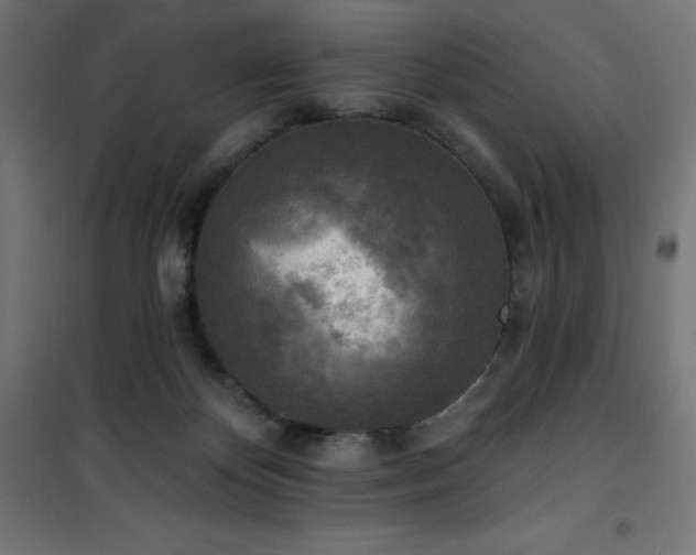 X0000101150124200807071159