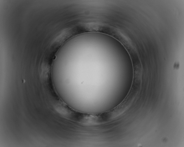 X0000101150125200807071159