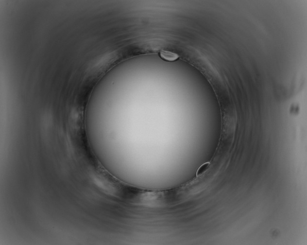 X0000101150126200807071159