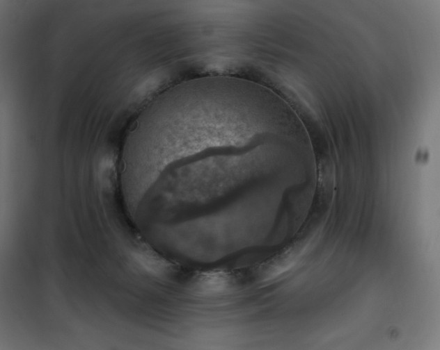 X0000101150127200807071159