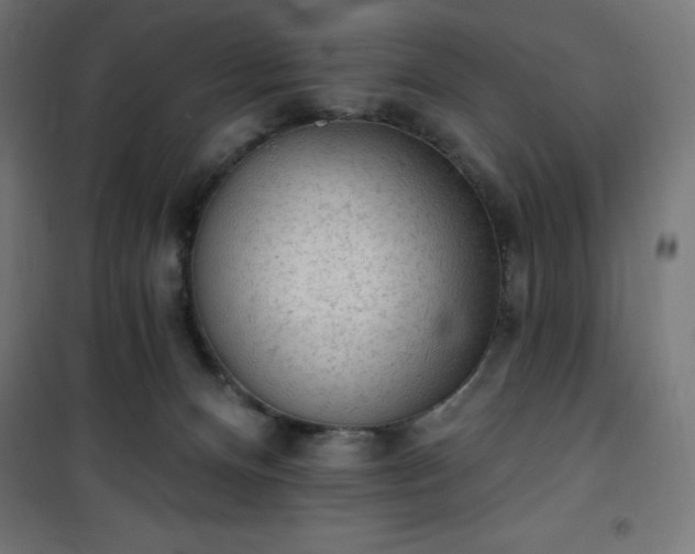 X0000101150128200807071159