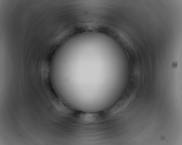 X0000101150129200807071159