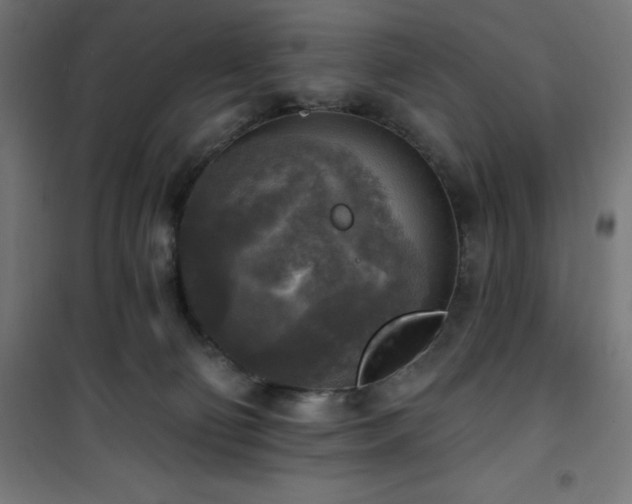 X0000101150130200807071159