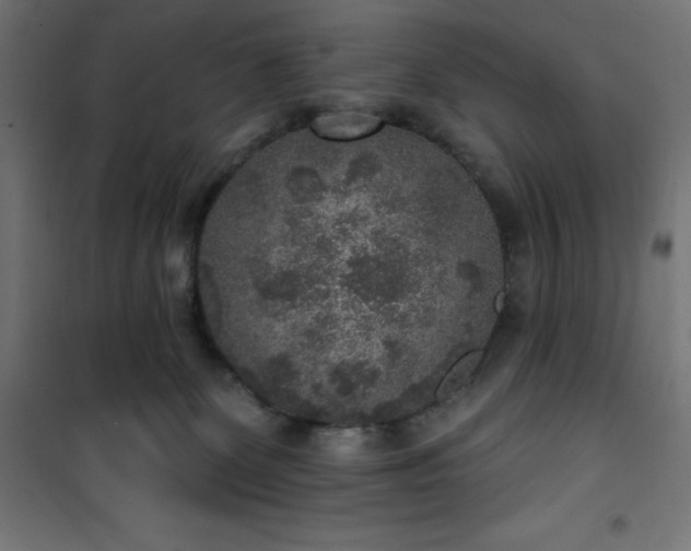 X0000101150131200807071159