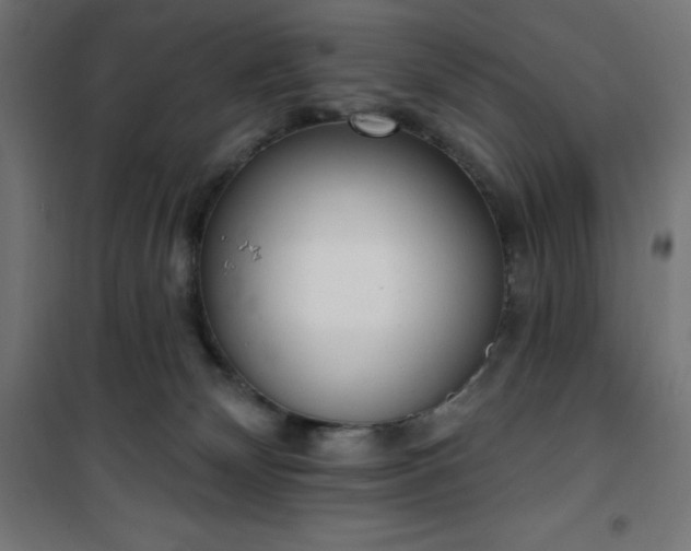 X0000101150132200807071159