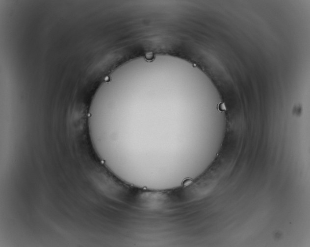 X0000101150133200807071159