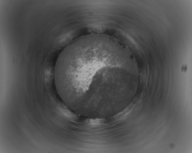 X0000101150134200807071159