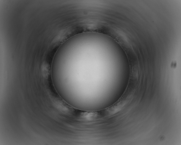 X0000101150135200807071159