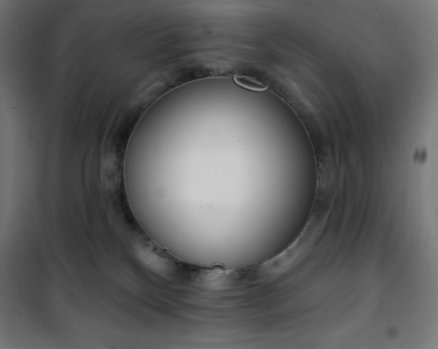 X0000101150136200807071159