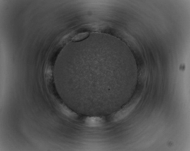 X0000101150137200807071159