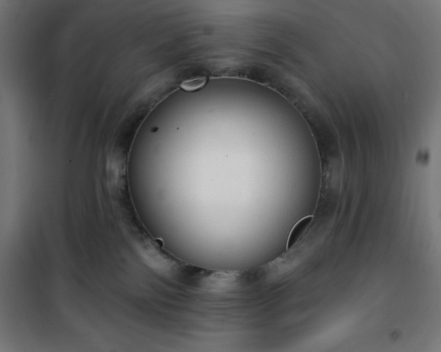 X0000101150138200807071159