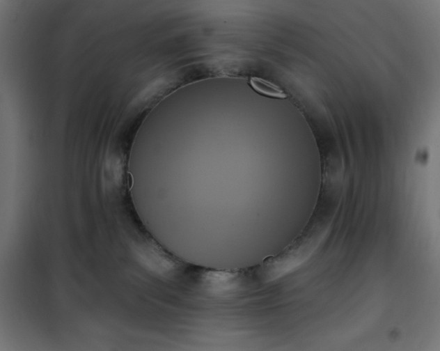 X0000101150139200807071159