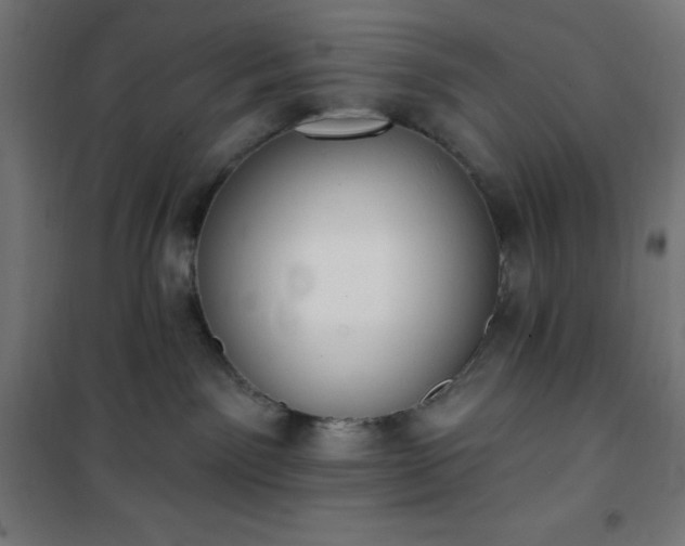 X0000101150141200807071159