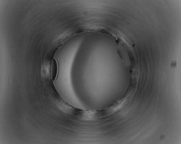 X0000101150143200807071159