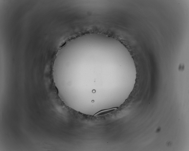 X0000101150144200807071159