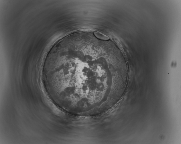 X0000101150145200807071158