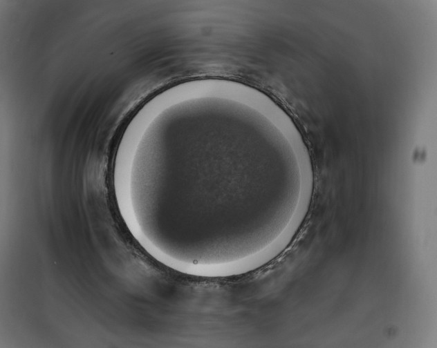 X0000101150146200807071158