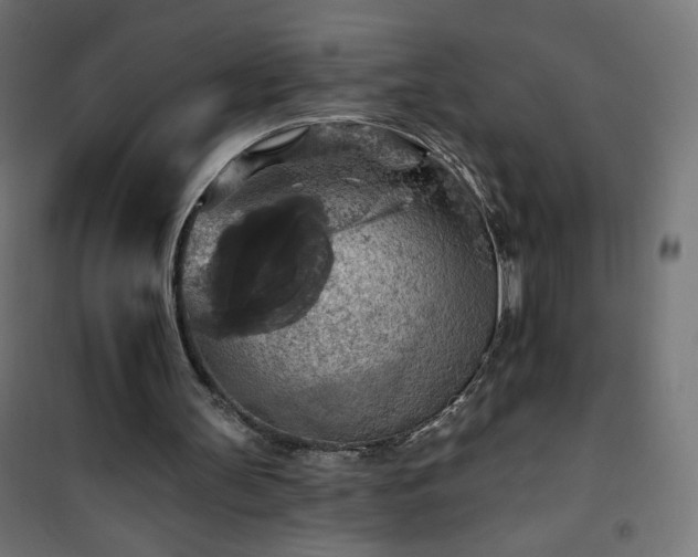 X0000101150147200807071158