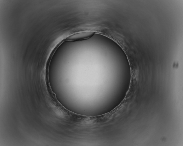 X0000101150148200807071158